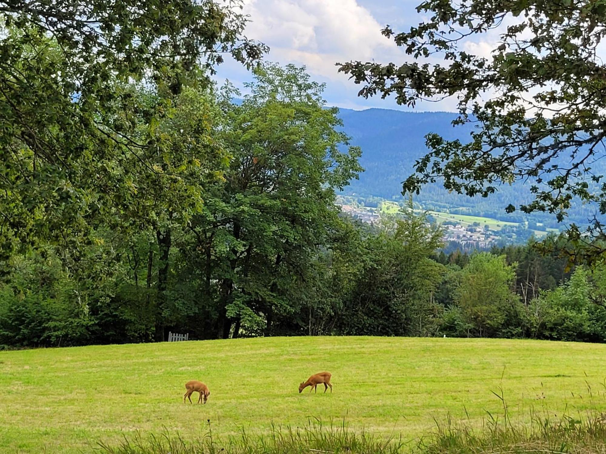 Appartement Chaleureux Au Coeur Des Hautes Vosges Ventron Exterior foto